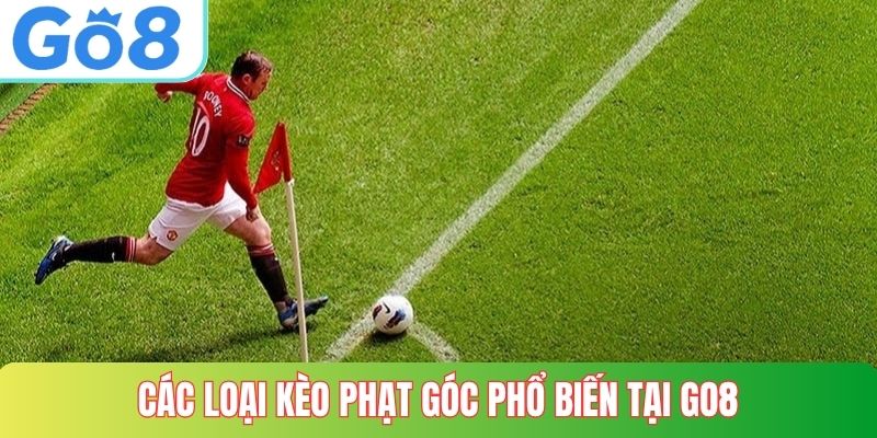 Các loại kèo phạt góc phổ biến tại Go8