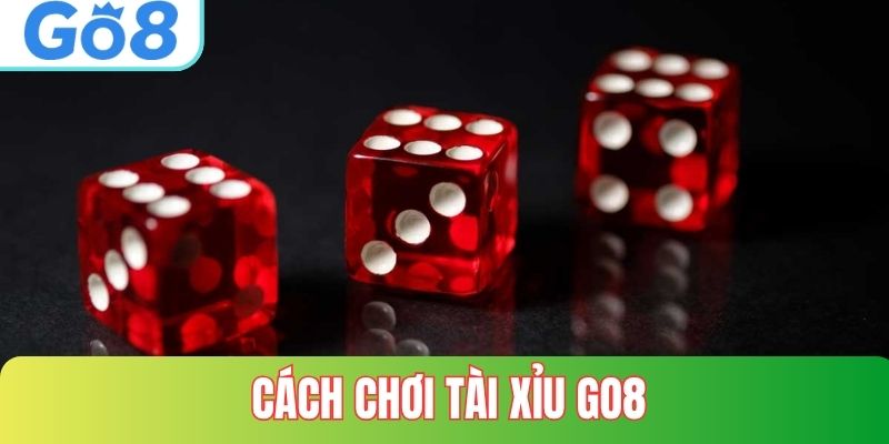 Cách Chơi Tài Xỉu tại GO8