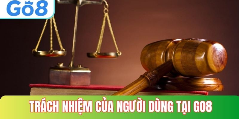 Trách nhiệm của người dùng tại gO8